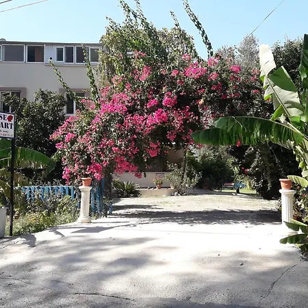 Apartment Rose *