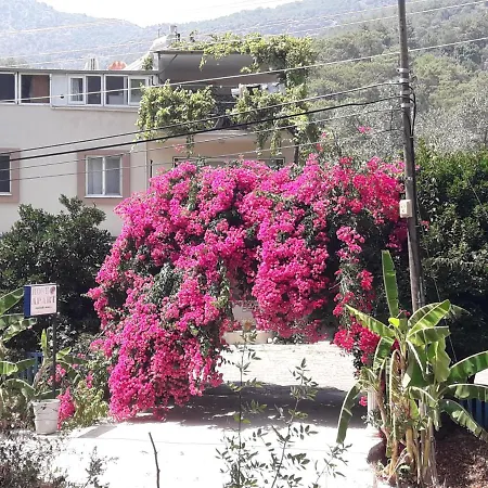 Apartment Rose